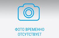 Поворотные приводы