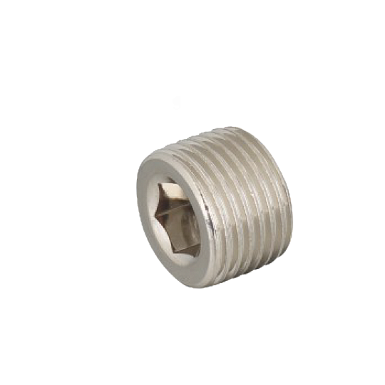  Заглушка с внутр. шестигранником TTY-DT03P